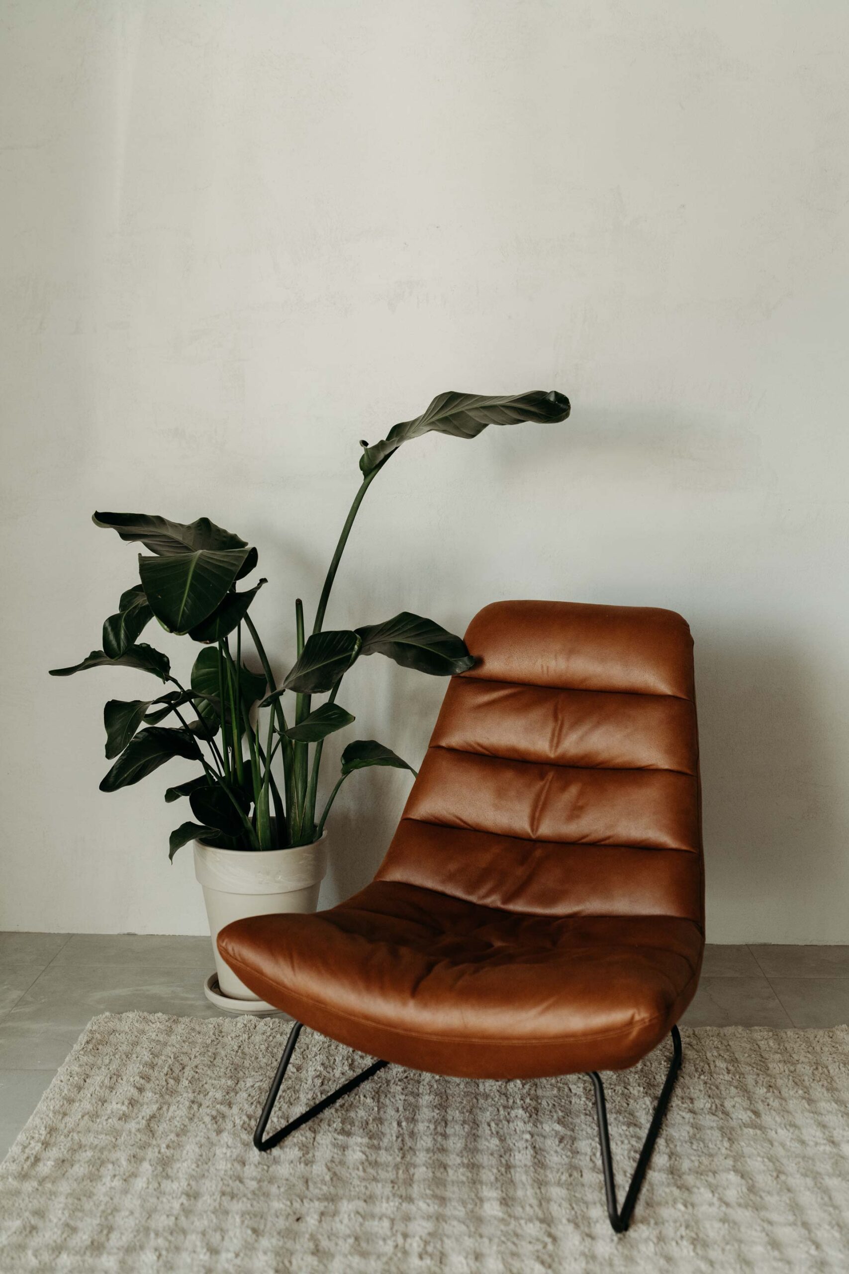 Studio fotograficzne wynajem – elegancka scenka ze szarą ścianą, krzesłem i dywanem, Warszawa